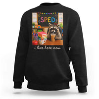 Funny SPED Raccoon Teacher Sweatshirt I Live Here Now