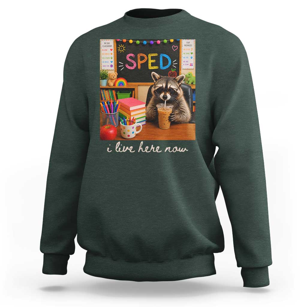 Funny SPED Raccoon Teacher Sweatshirt I Live Here Now