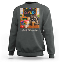 Funny SPED Raccoon Teacher Sweatshirt I Live Here Now