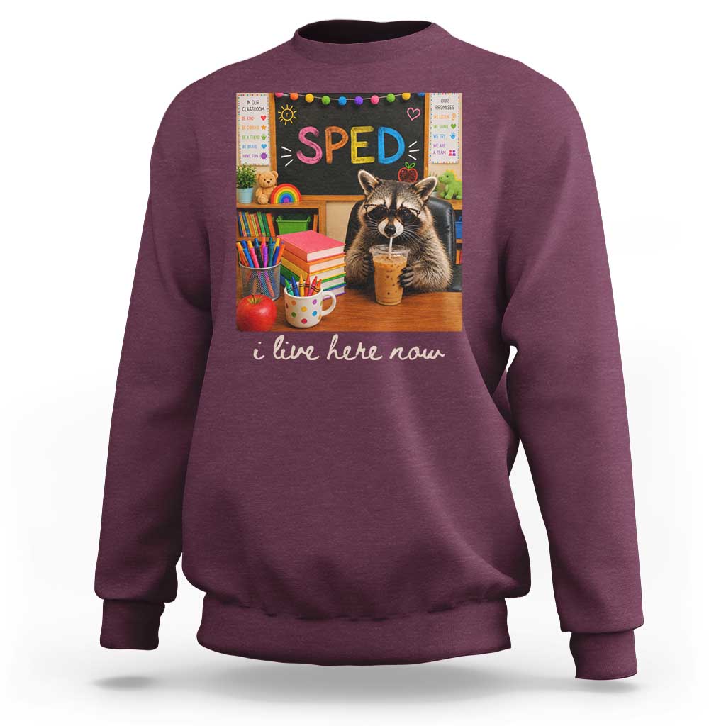 Funny SPED Raccoon Teacher Sweatshirt I Live Here Now