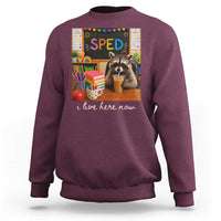 Funny SPED Raccoon Teacher Sweatshirt I Live Here Now