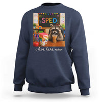 Funny SPED Raccoon Teacher Sweatshirt I Live Here Now