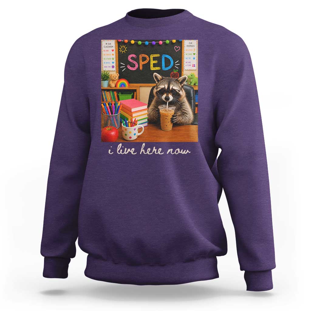 Funny SPED Raccoon Teacher Sweatshirt I Live Here Now