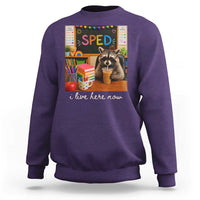 Funny SPED Raccoon Teacher Sweatshirt I Live Here Now