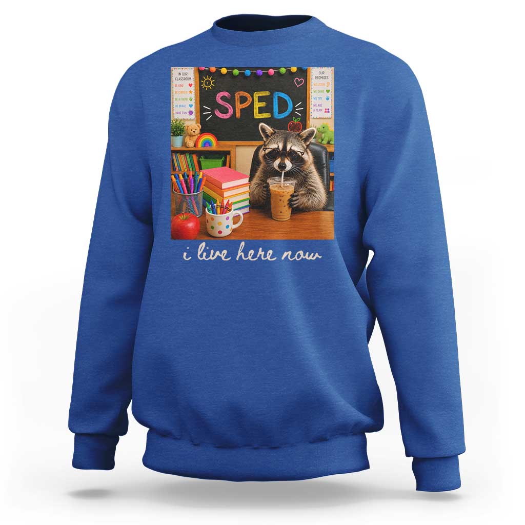 Funny SPED Raccoon Teacher Sweatshirt I Live Here Now