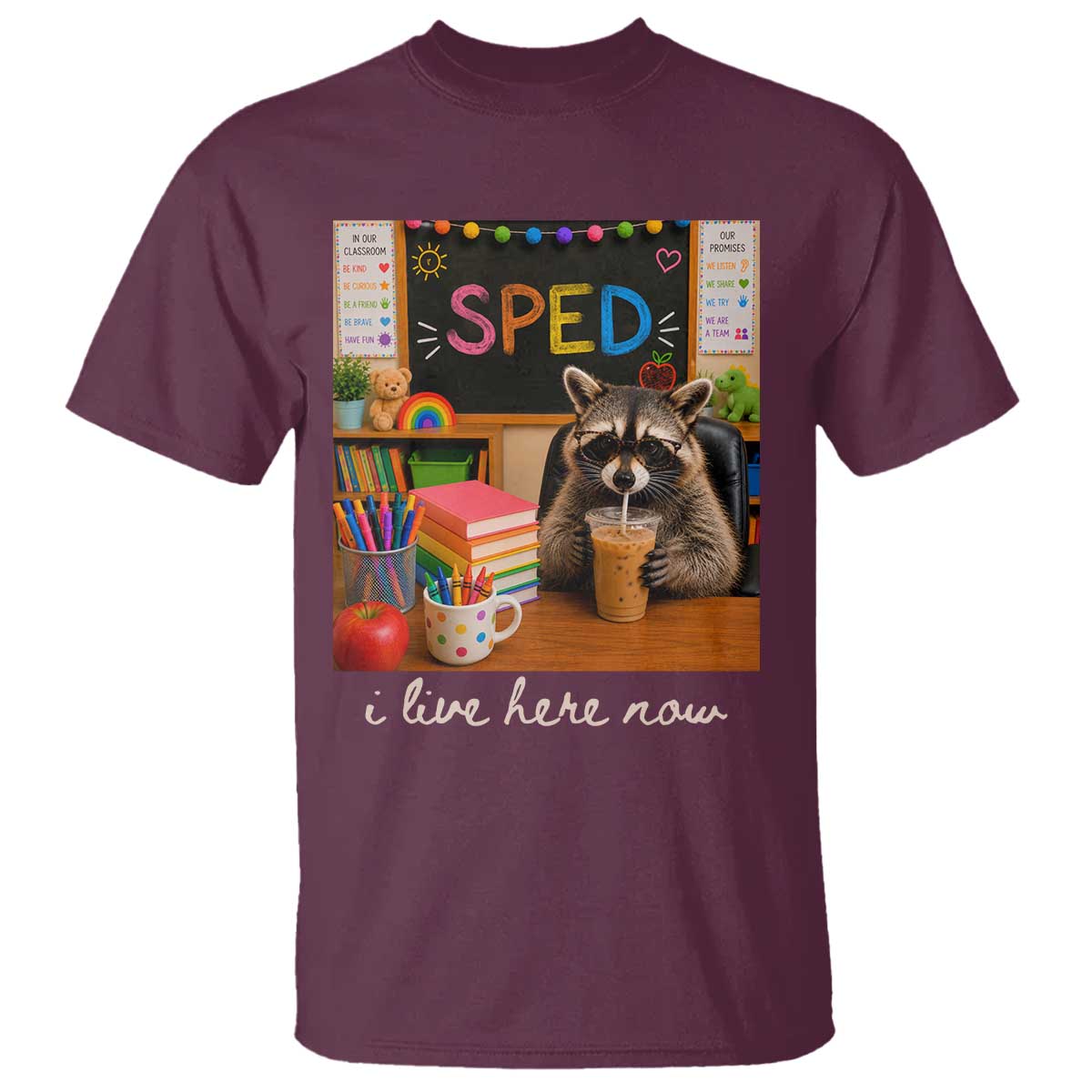 Funny SPED Raccoon Teacher T Shirt I Live Here Now