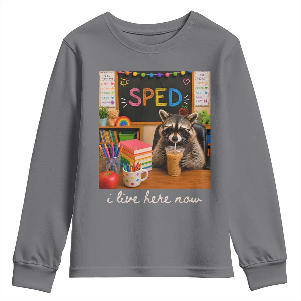 Funny SPED Raccoon Teacher Youth Sweatshirt I Live Here Now