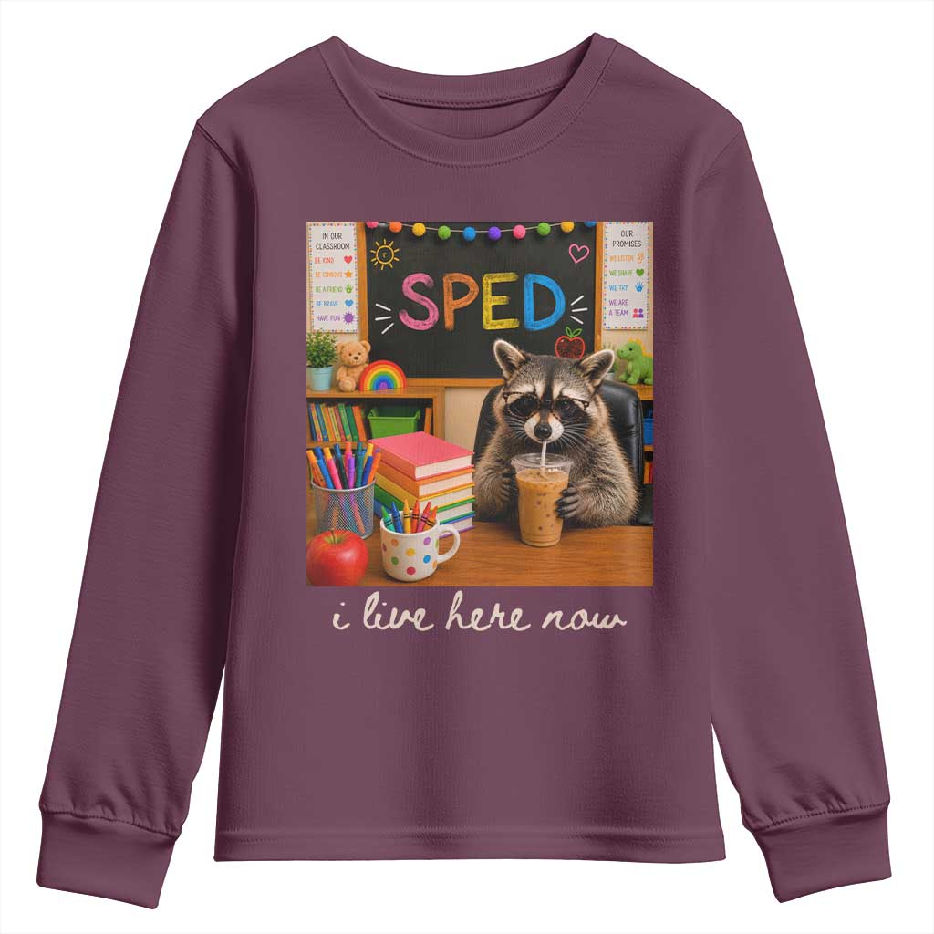 Funny SPED Raccoon Teacher Youth Sweatshirt I Live Here Now