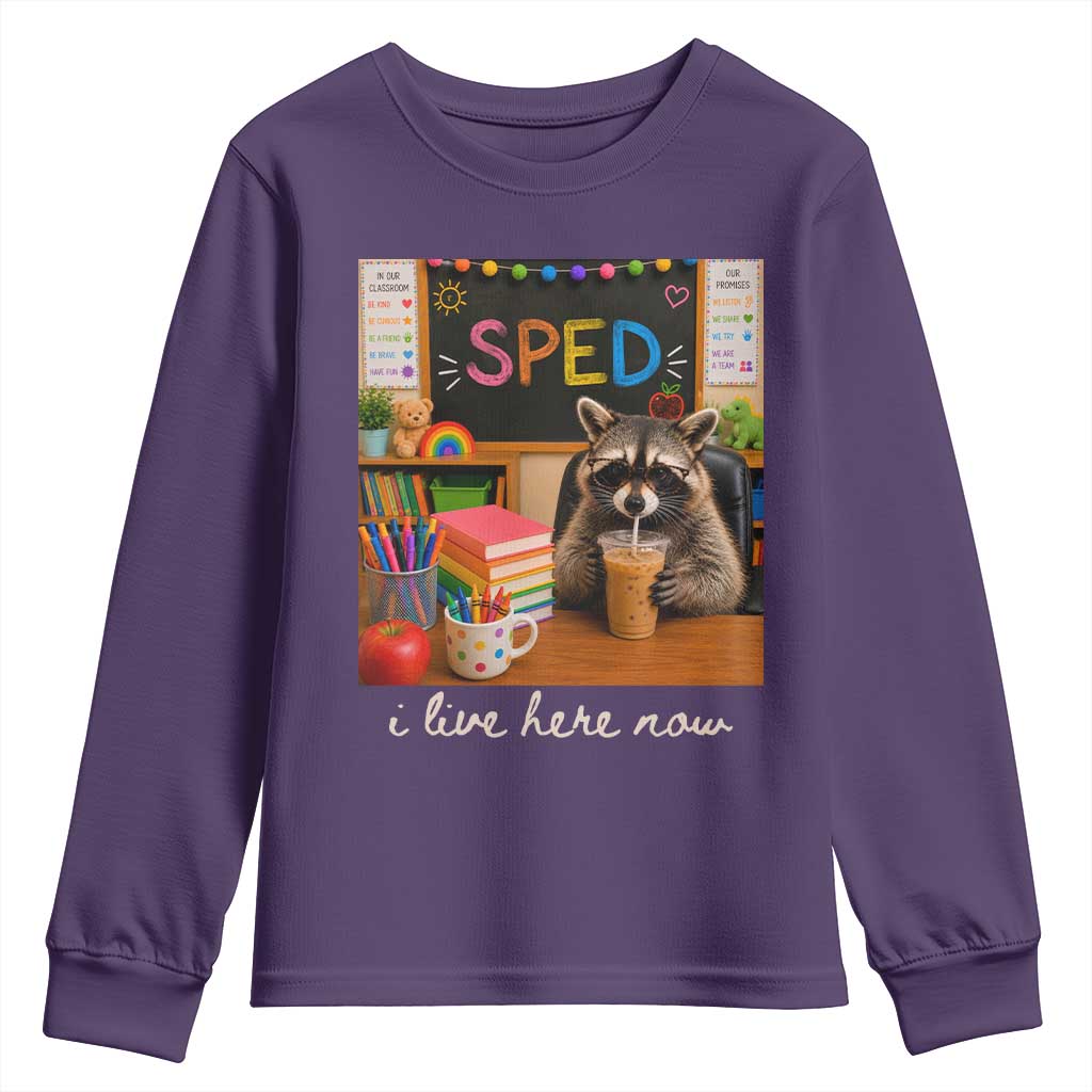 Funny SPED Raccoon Teacher Youth Sweatshirt I Live Here Now