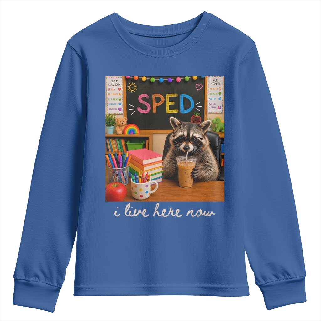 Funny SPED Raccoon Teacher Youth Sweatshirt I Live Here Now