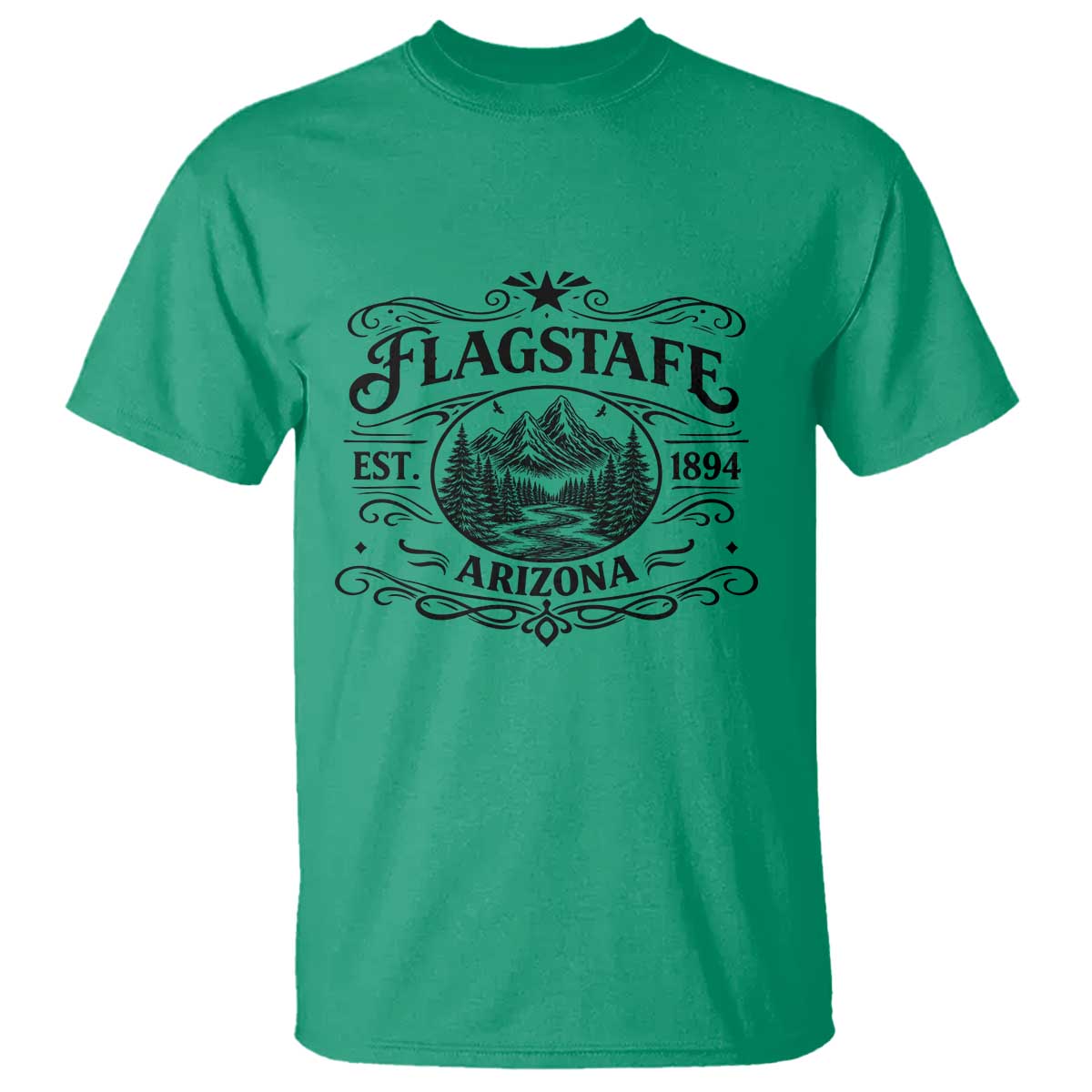 Vintage Flagstaff Landscape Adventure T Shirt Arizona Gift