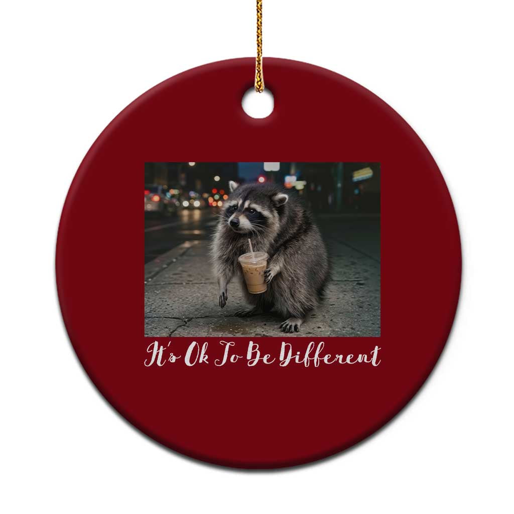 Its Ok To Be Different Jimothy Raccoon Ceramic Ornament Funny Short Spine Wildlife