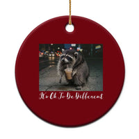 Its Ok To Be Different Jimothy Raccoon Ceramic Ornament Funny Short Spine Wildlife