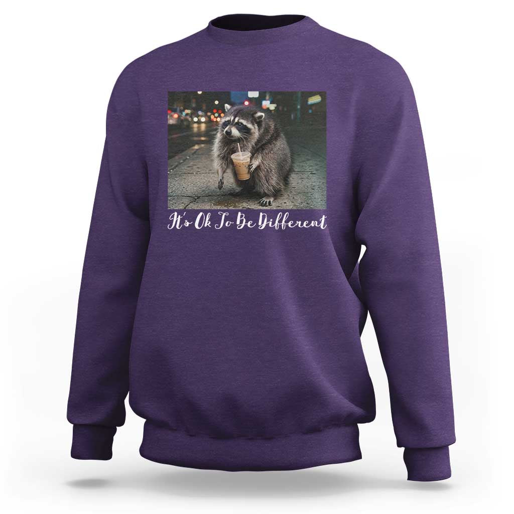 Its Ok To Be Different Jimothy Raccoon Sweatshirt Funny Short Spine Wildlife