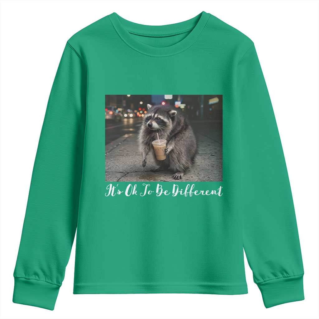 Its Ok To Be Different Jimothy Raccoon Youth Sweatshirt Funny Short Spine Wildlife