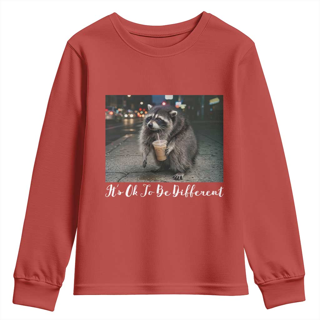 Its Ok To Be Different Jimothy Raccoon Youth Sweatshirt Funny Short Spine Wildlife