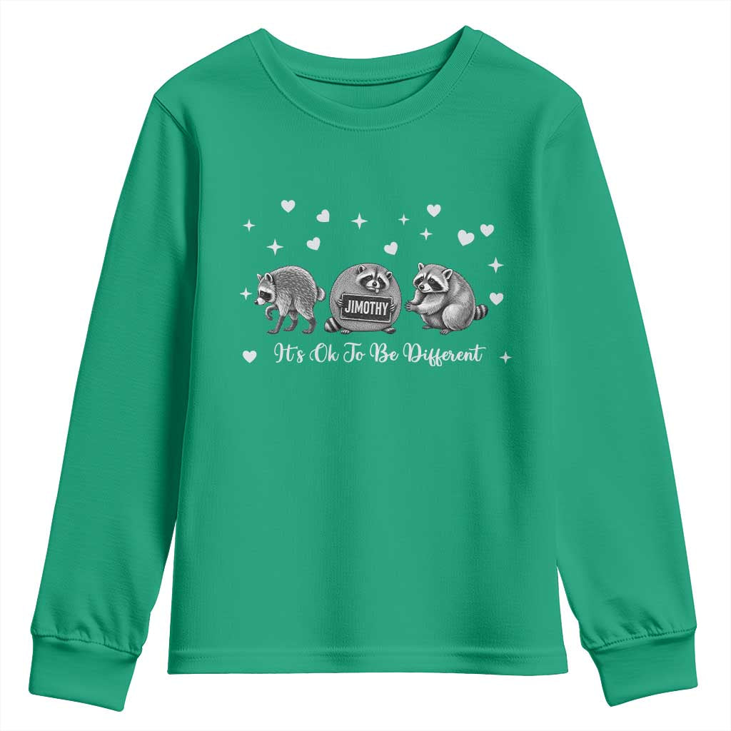 Its Ok To Be Different Jimothy Raccoon Youth Sweatshirt Cute Trash Panda Viral Animal Lover Gift