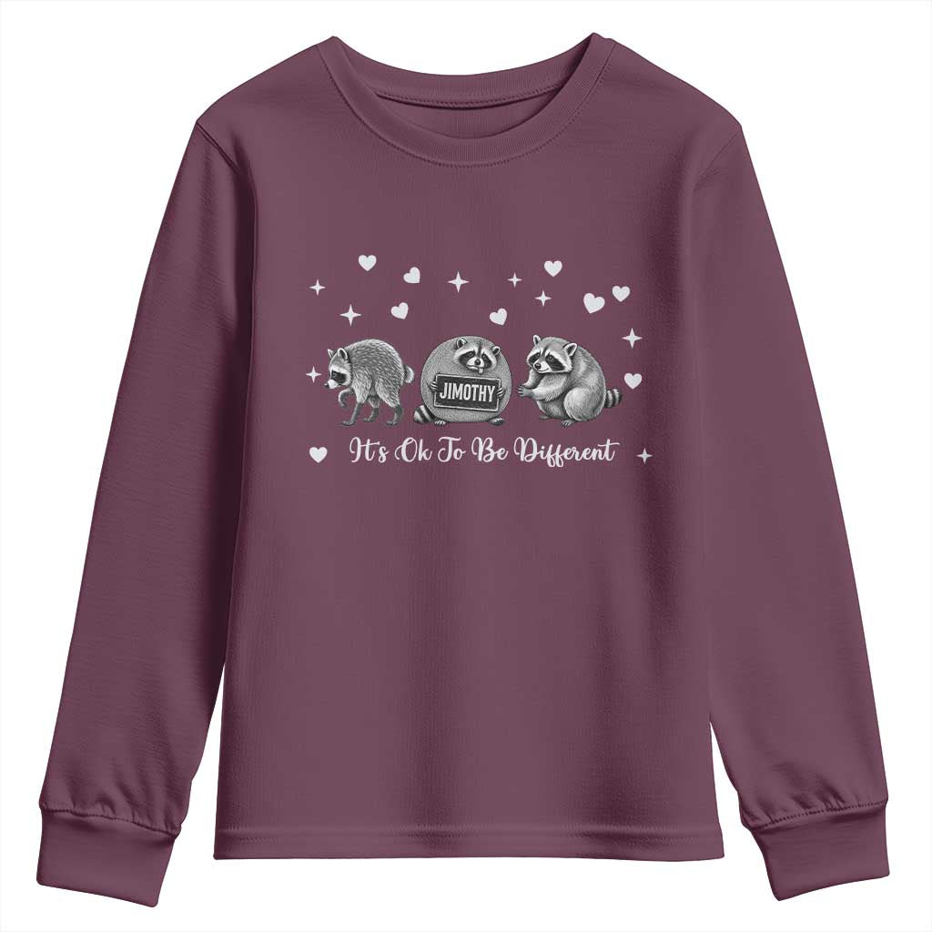 Its Ok To Be Different Jimothy Raccoon Youth Sweatshirt Cute Trash Panda Viral Animal Lover Gift