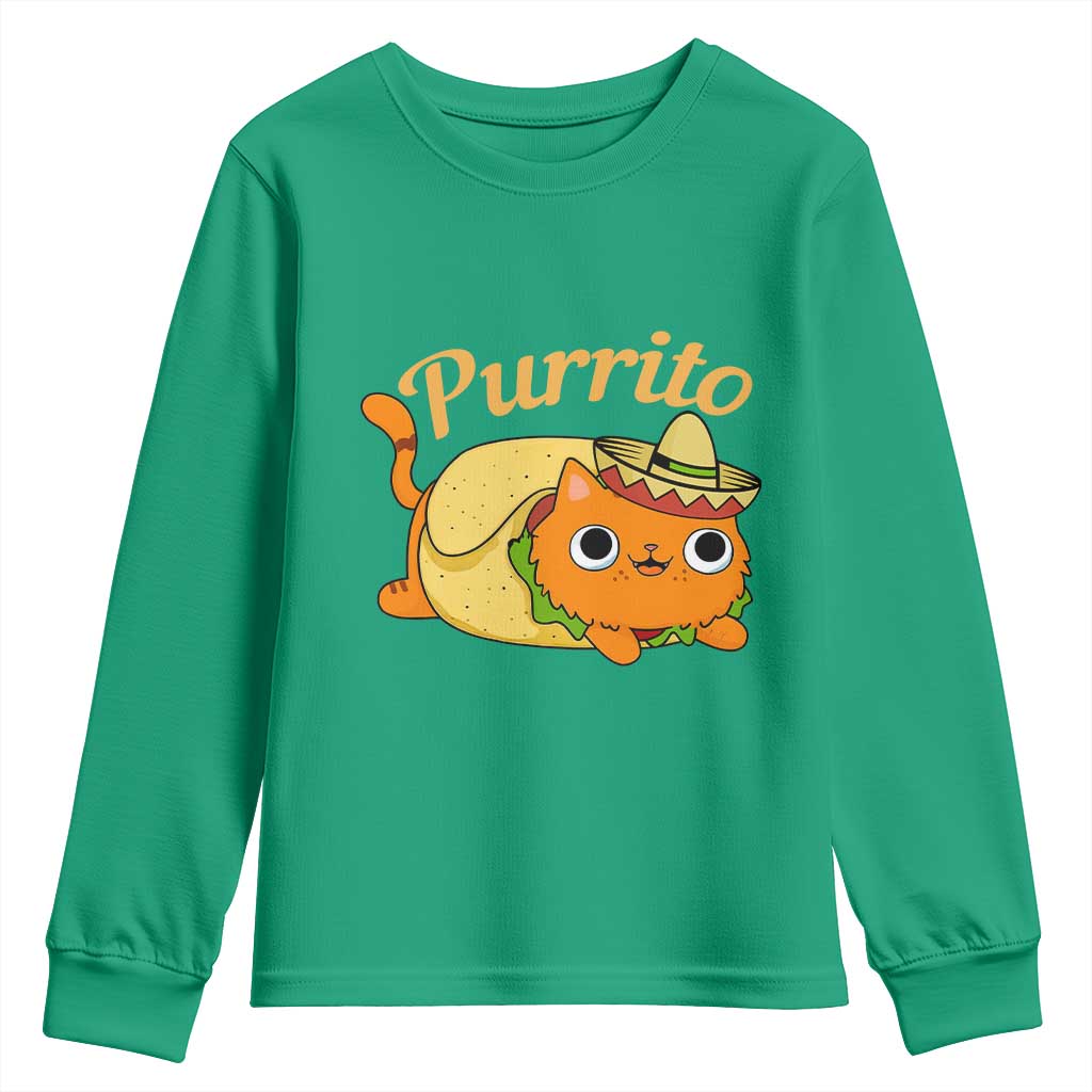 Funny Burrito Lover Gift Youth Sweatshirt Purrito Cat - Wonder Print Shop