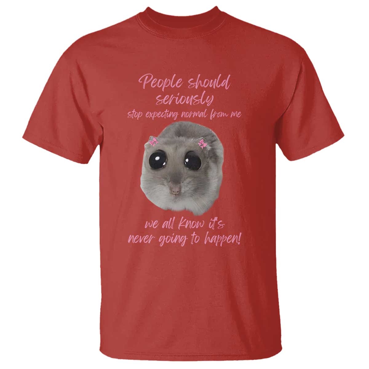 Funny Hamster Meme T Shirt People Should Stop Expecting Normal Humor Gift - Wonder Print Shop