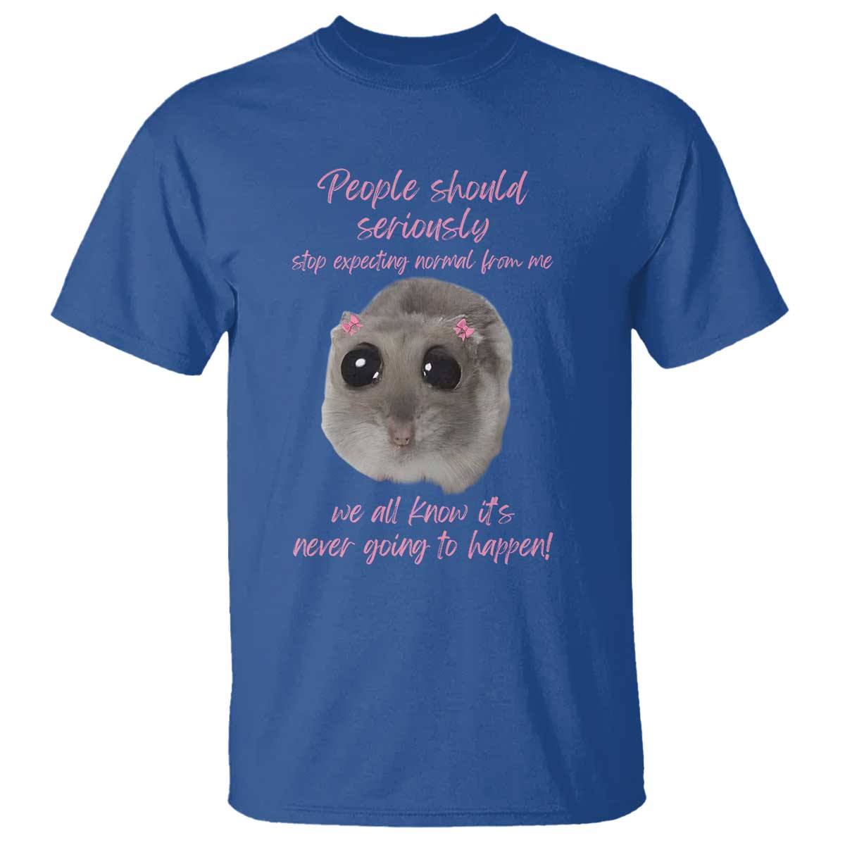 Funny Hamster Meme T Shirt People Should Stop Expecting Normal Humor Gift - Wonder Print Shop
