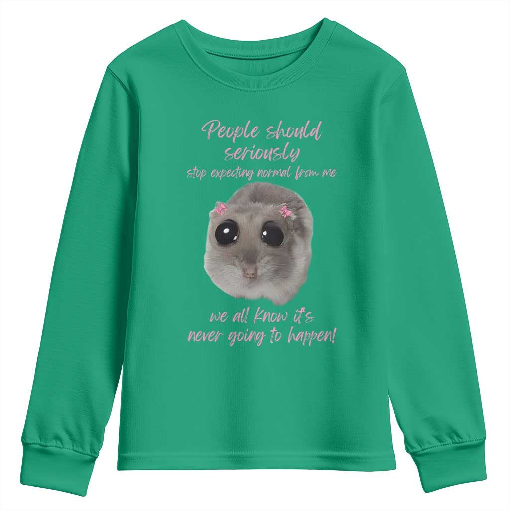 Funny Hamster Meme Youth Sweatshirt People Should Stop Expecting Normal Humor Gift - Wonder Print Shop