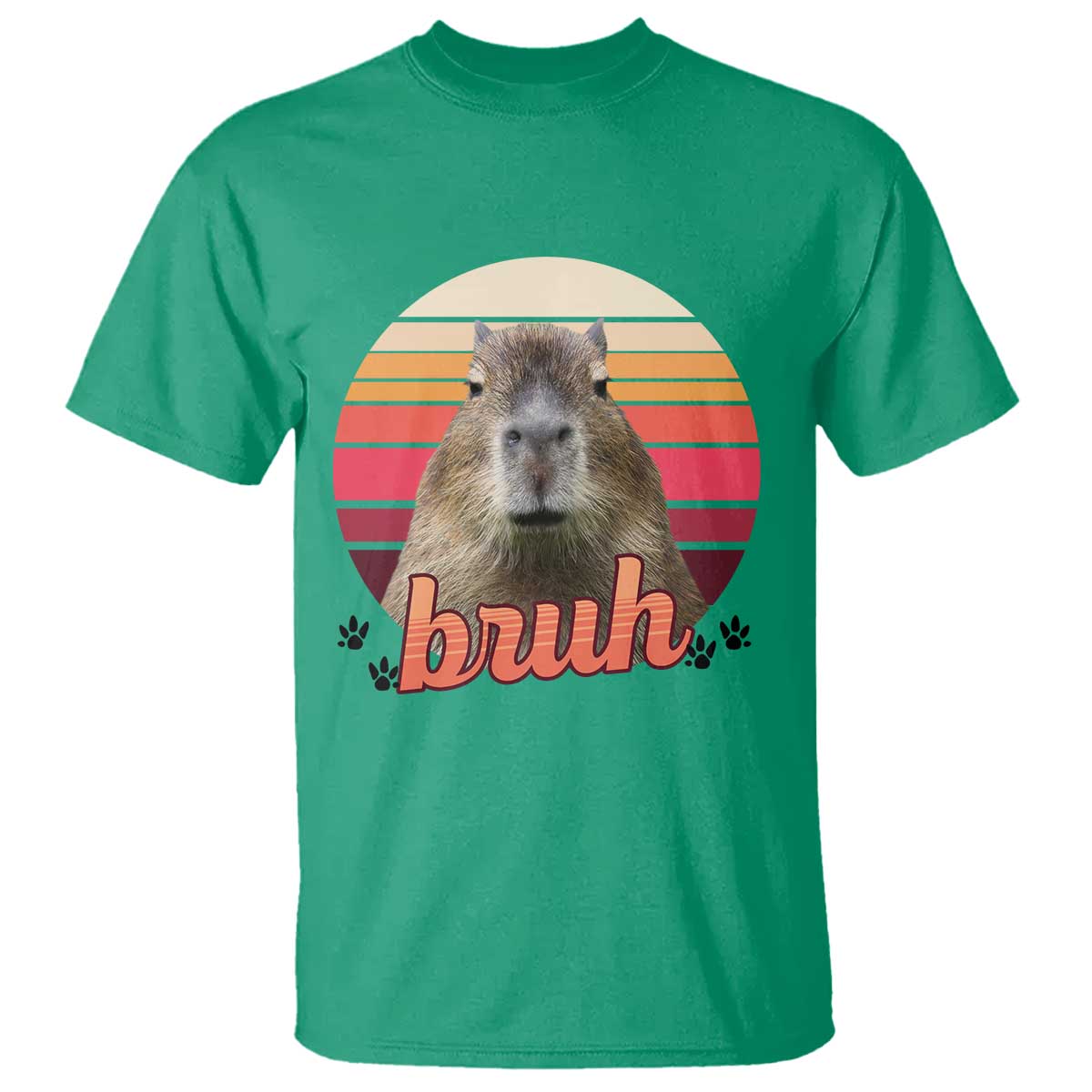 Capybara Lover T Shirt Funny Bruh Meme Animal Humor Gift - Wonder Print Shop