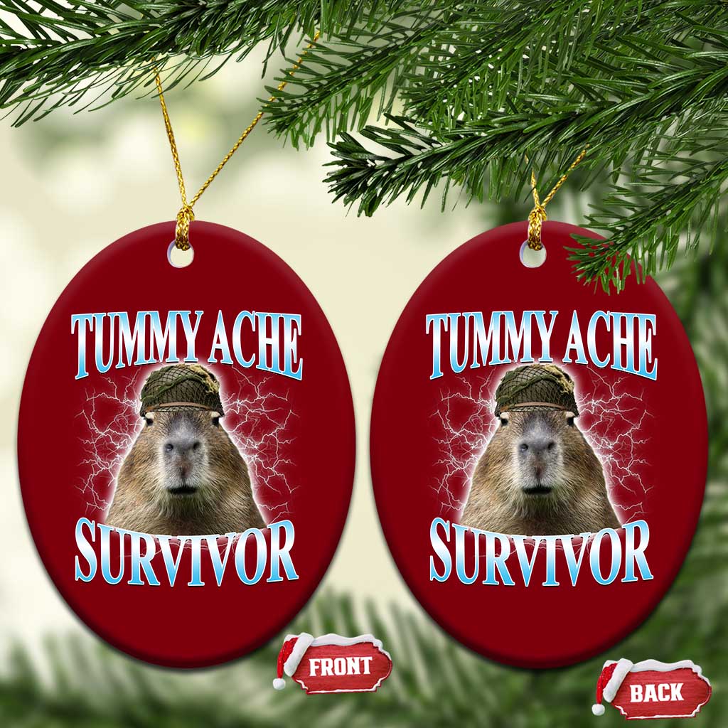 Tummy Ache Survivor Ceramic Ornament Funny Capybara Meme For Animal Lover - Wonder Print Shop