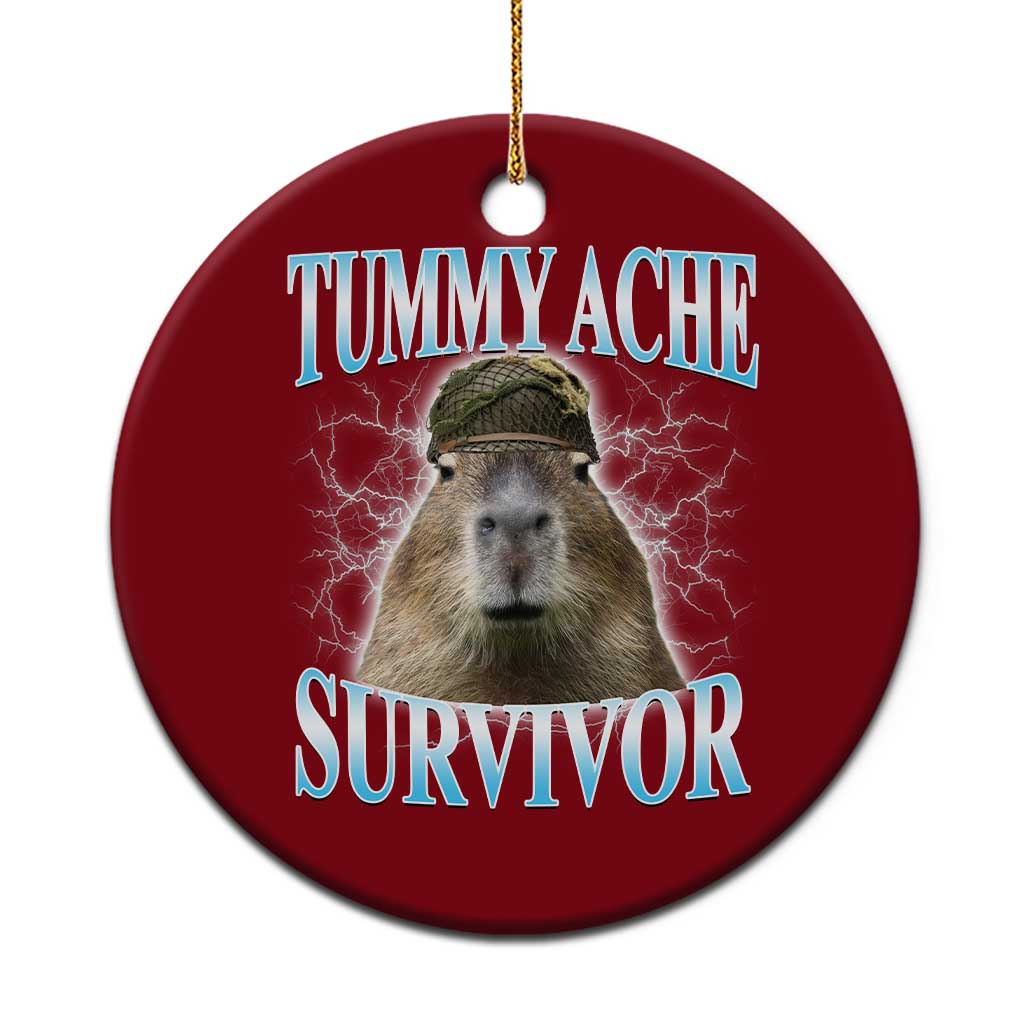 Tummy Ache Survivor Ceramic Ornament Funny Capybara Meme For Animal Lover - Wonder Print Shop
