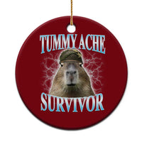 Tummy Ache Survivor Ceramic Ornament Funny Capybara Meme For Animal Lover - Wonder Print Shop