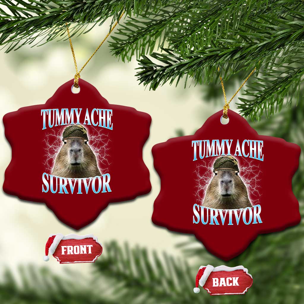 Tummy Ache Survivor Ceramic Ornament Funny Capybara Meme For Animal Lover - Wonder Print Shop