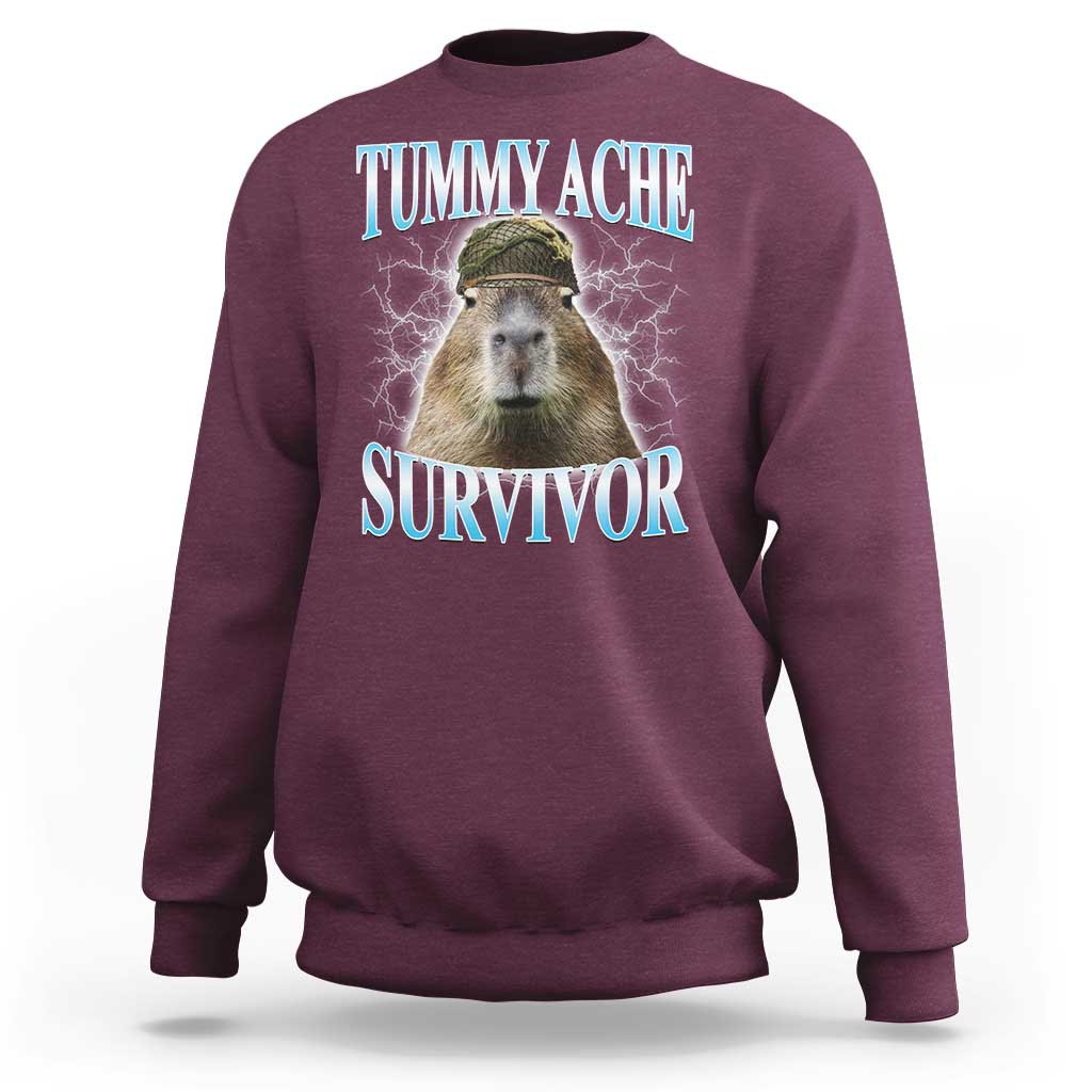 Tummy Ache Survivor Sweatshirt Funny Capybara Meme For Animal Lover - Wonder Print Shop