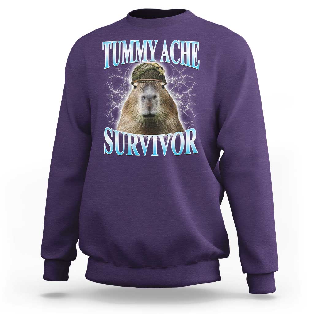 Tummy Ache Survivor Sweatshirt Funny Capybara Meme For Animal Lover - Wonder Print Shop