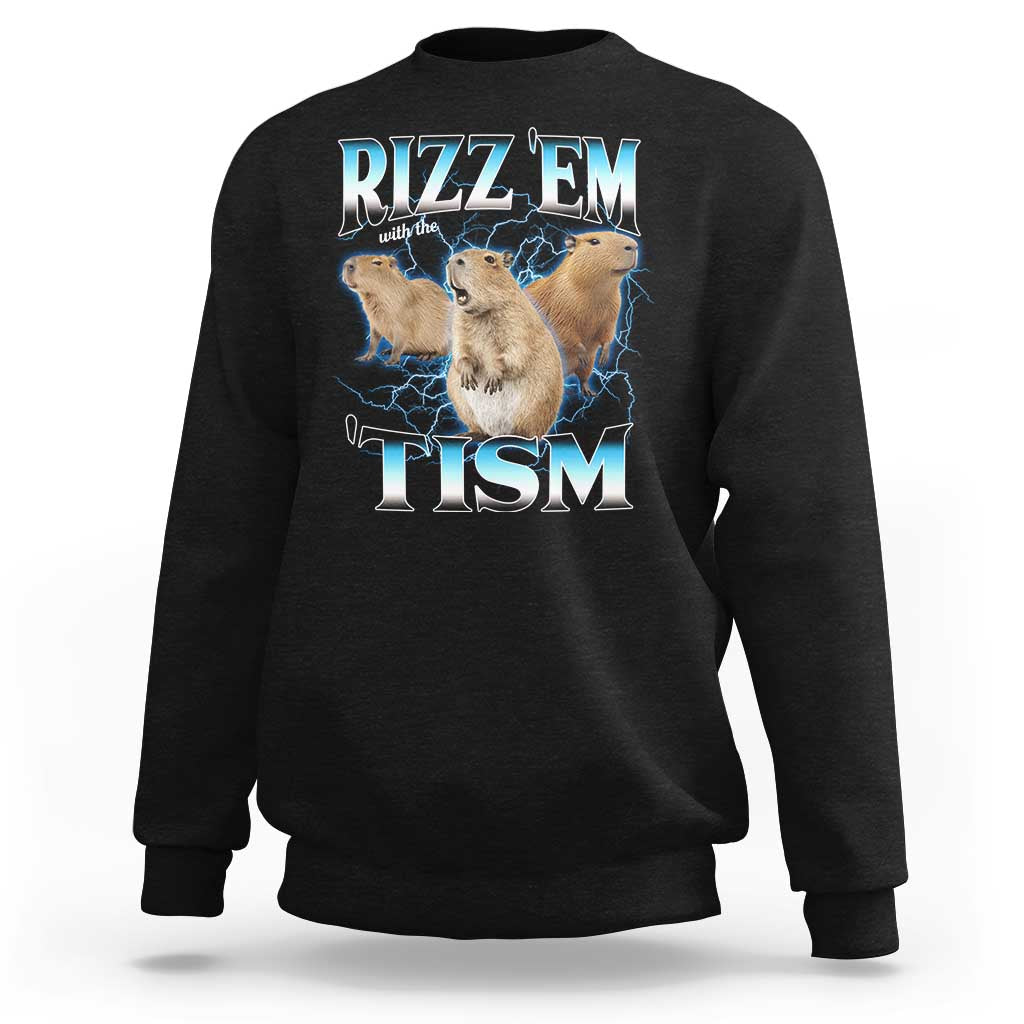 Autism Capybara Sweatshirt Funny Rizz Em With The Tism - Wonder Print Shop
