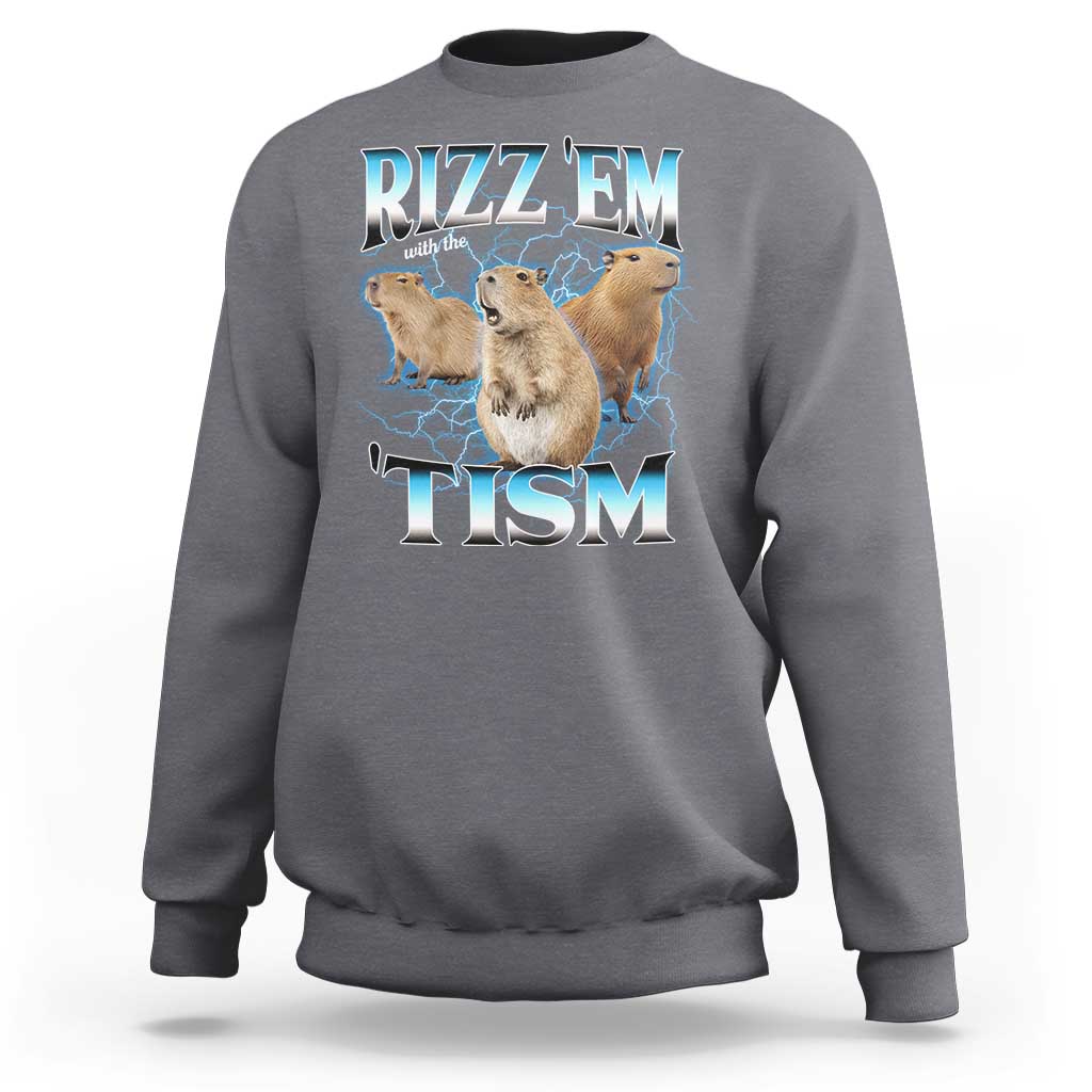Autism Capybara Sweatshirt Funny Rizz Em With The Tism - Wonder Print Shop
