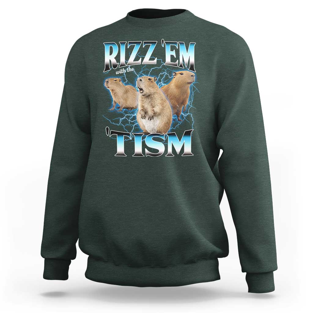 Autism Capybara Sweatshirt Funny Rizz Em With The Tism - Wonder Print Shop