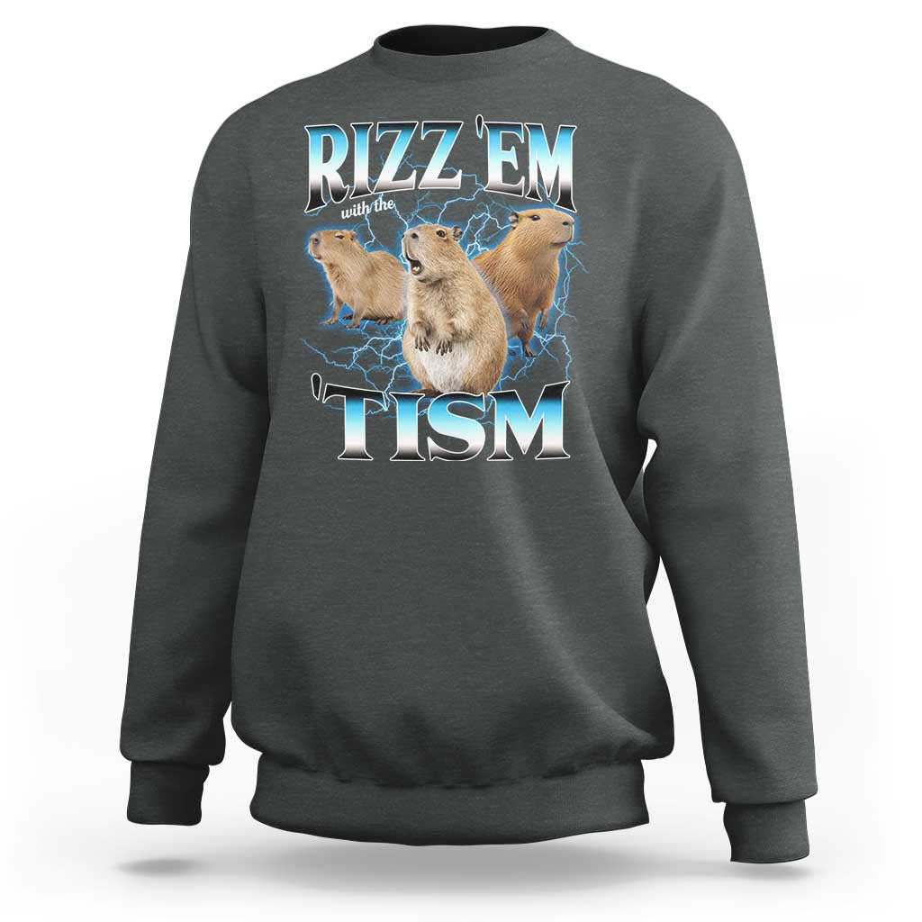 Autism Capybara Sweatshirt Funny Rizz Em With The Tism - Wonder Print Shop