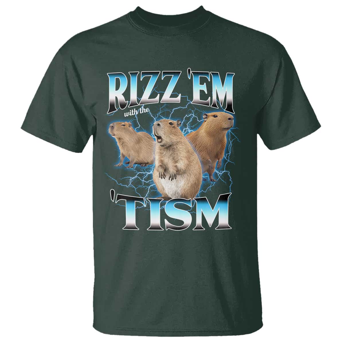 Autism Capybara T Shirt Funny Rizz Em With The Tism - Wonder Print Shop