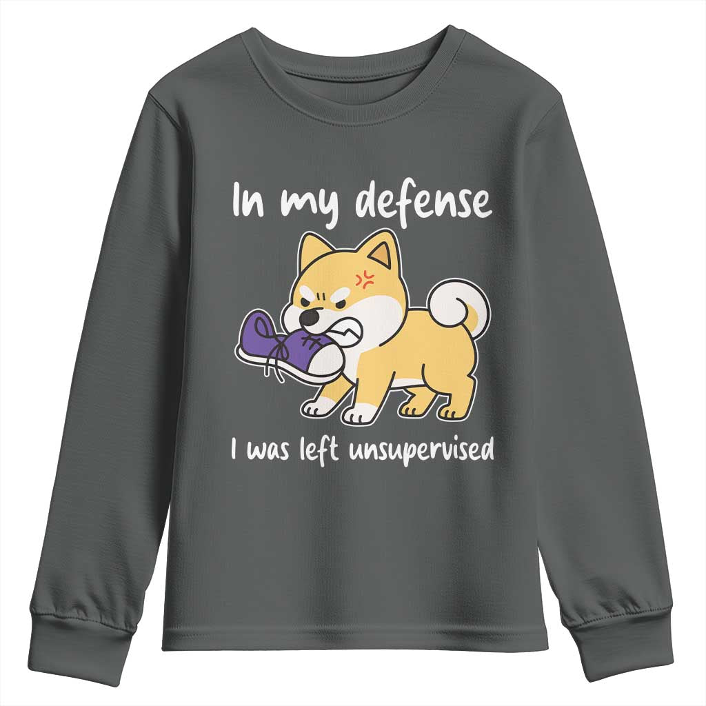 Sarcastic Dog Lover Youth Sweatshirt In My Defense I Was Left Unsupervised - Wonder Print Shop