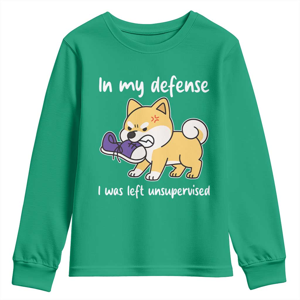 Sarcastic Dog Lover Youth Sweatshirt In My Defense I Was Left Unsupervised - Wonder Print Shop
