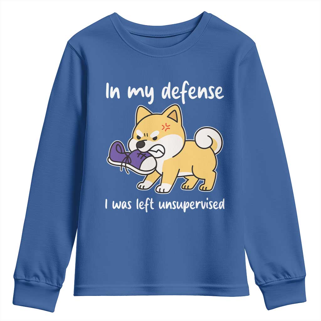 Sarcastic Dog Lover Youth Sweatshirt In My Defense I Was Left Unsupervised - Wonder Print Shop