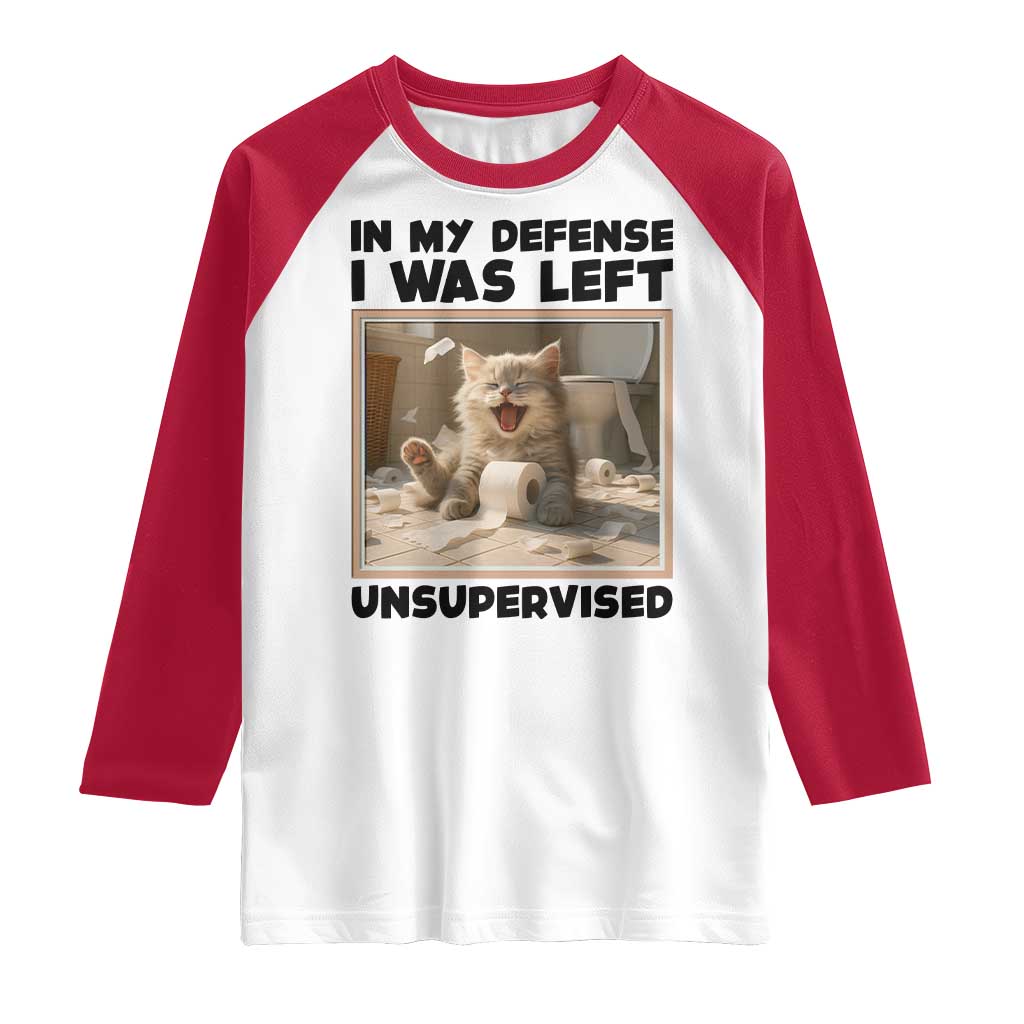 Funny Cat Humor Raglan Shirt In My Defense I Was Left Unsupervised - Wonder Print Shop