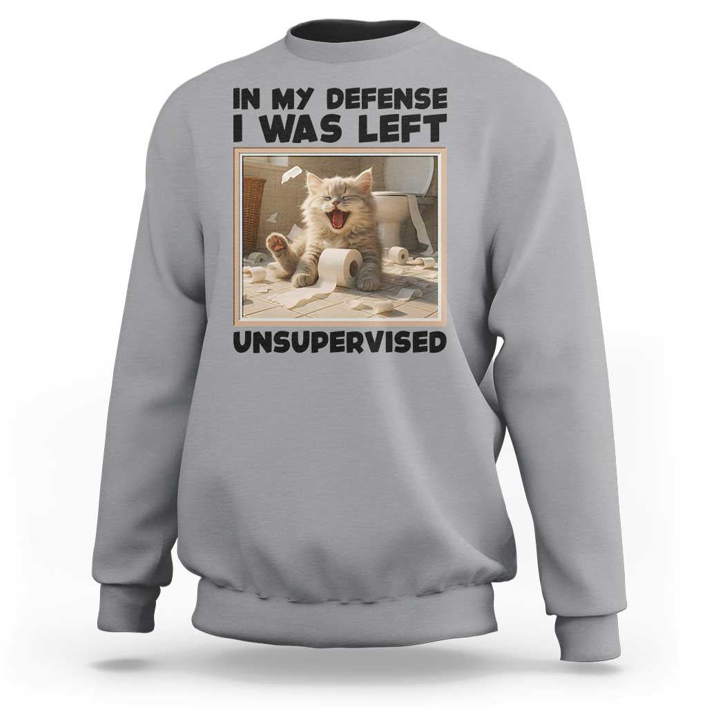 Funny Cat Humor Sweatshirt In My Defense I Was Left Unsupervised - Wonder Print Shop