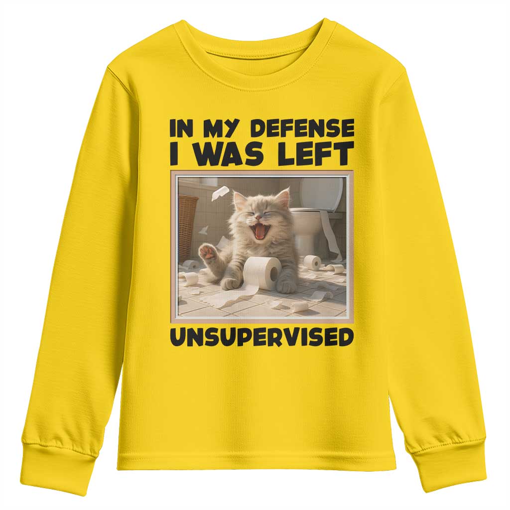 Funny Cat Humor Youth Sweatshirt In My Defense I Was Left Unsupervised - Wonder Print Shop