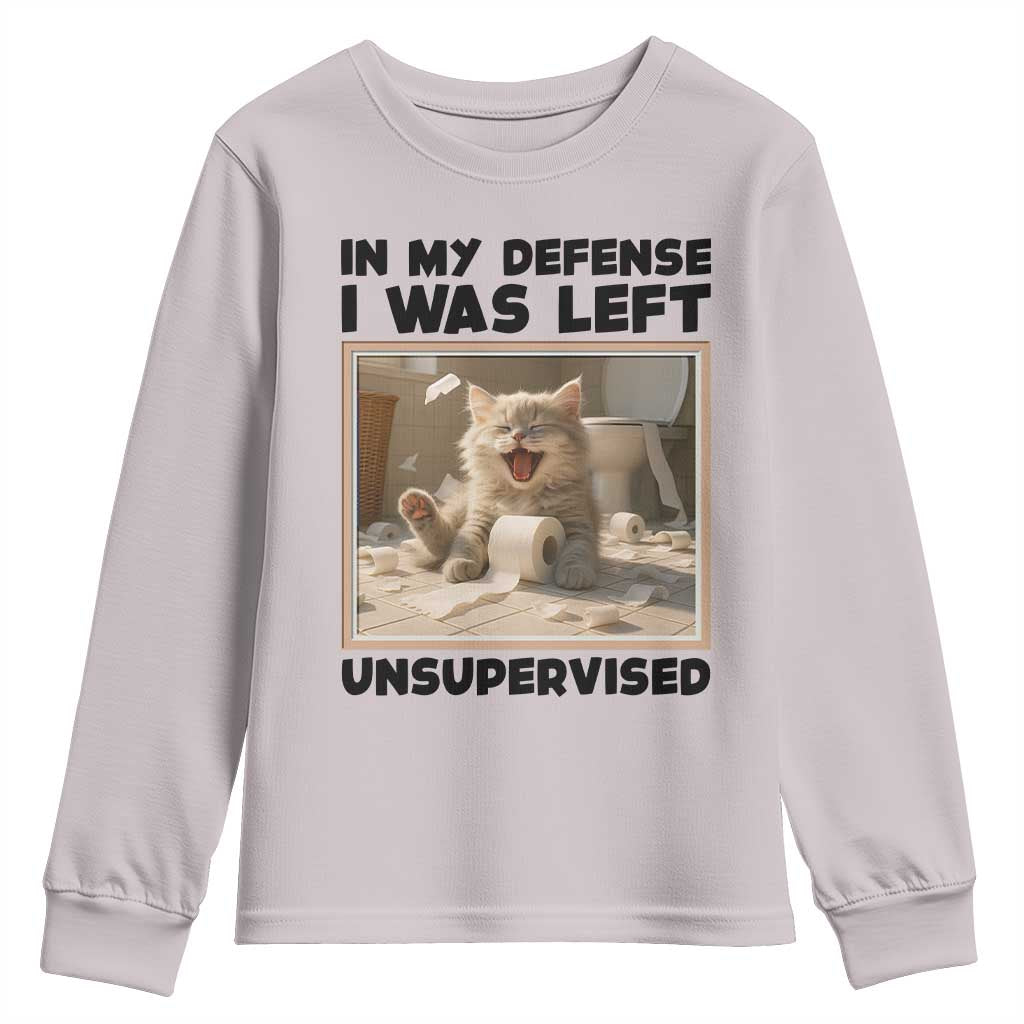 Funny Cat Humor Youth Sweatshirt In My Defense I Was Left Unsupervised - Wonder Print Shop