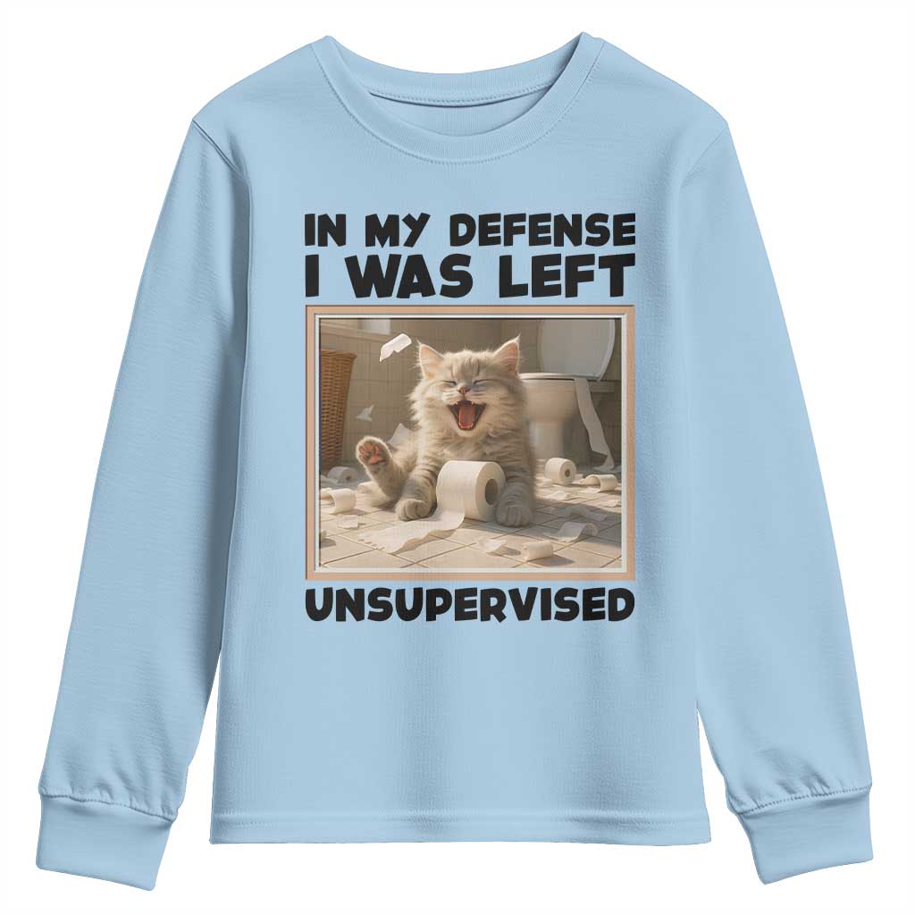 Funny Cat Humor Youth Sweatshirt In My Defense I Was Left Unsupervised - Wonder Print Shop