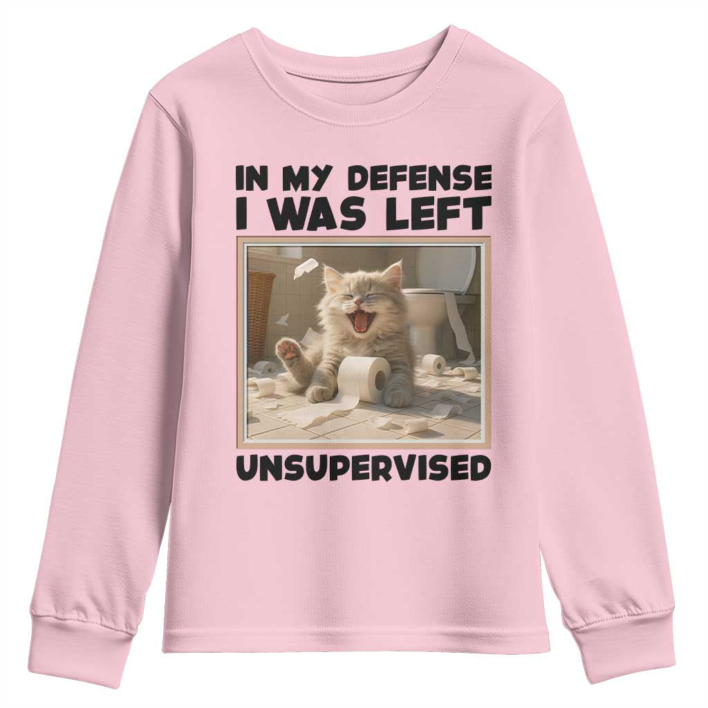 Funny Cat Humor Youth Sweatshirt In My Defense I Was Left Unsupervised - Wonder Print Shop