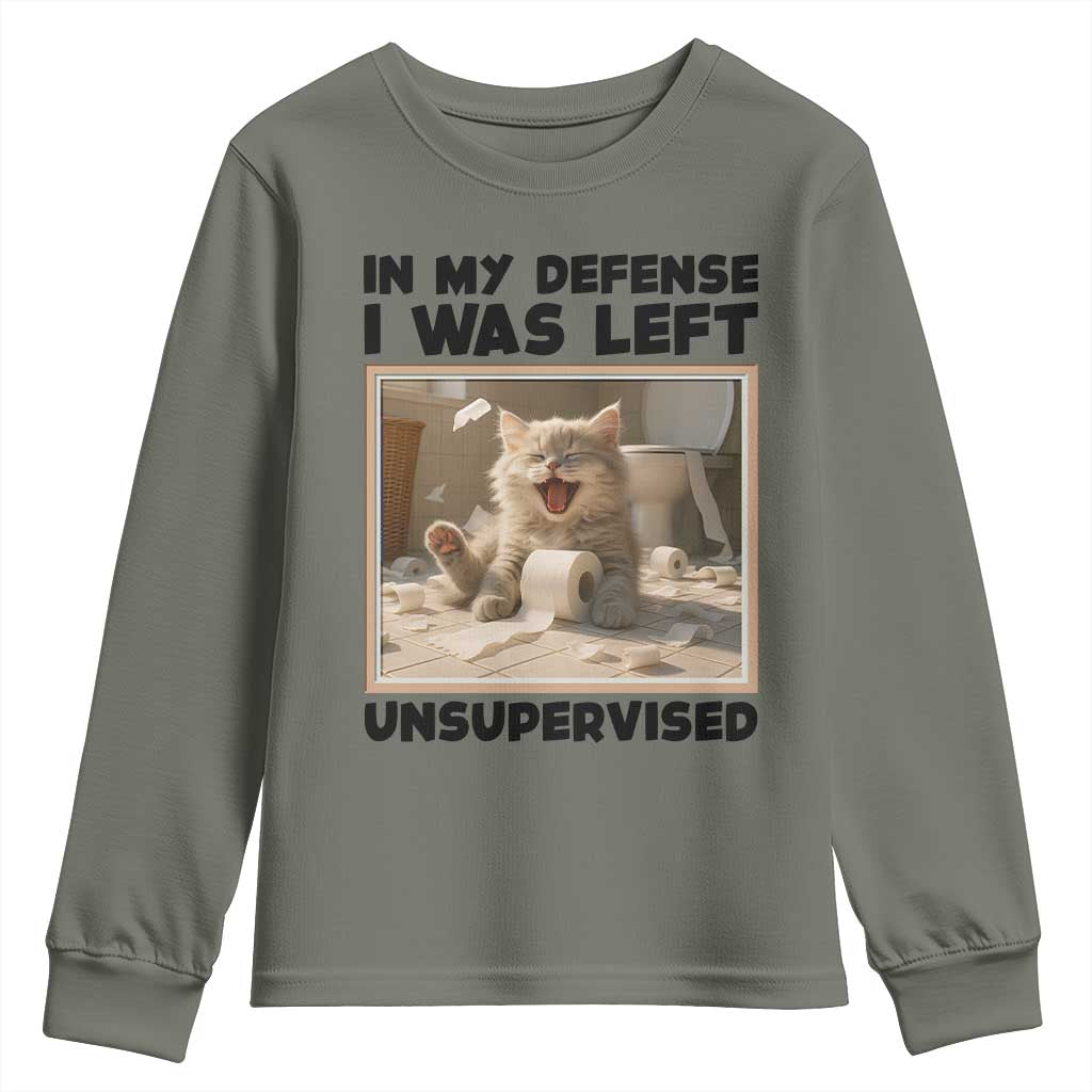 Funny Cat Humor Youth Sweatshirt In My Defense I Was Left Unsupervised - Wonder Print Shop