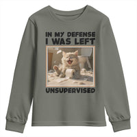 Funny Cat Humor Youth Sweatshirt In My Defense I Was Left Unsupervised - Wonder Print Shop