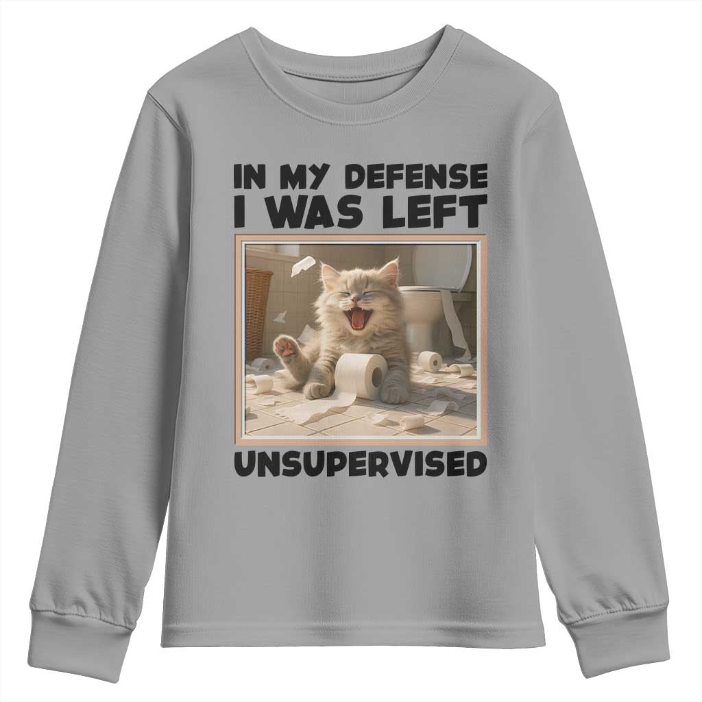 Funny Cat Humor Youth Sweatshirt In My Defense I Was Left Unsupervised - Wonder Print Shop